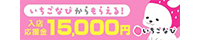いちごなび2